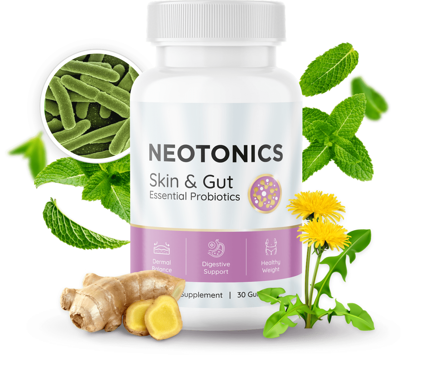 Neotonics Review: An Honest Opinion